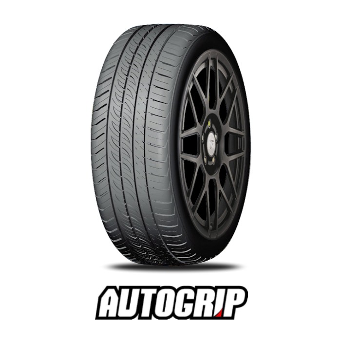 235/55R17 103W AUTOGRIP P308PLUS XL