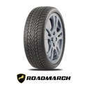 255/40R19 100H ROADMARCH WINTERXPRO 888